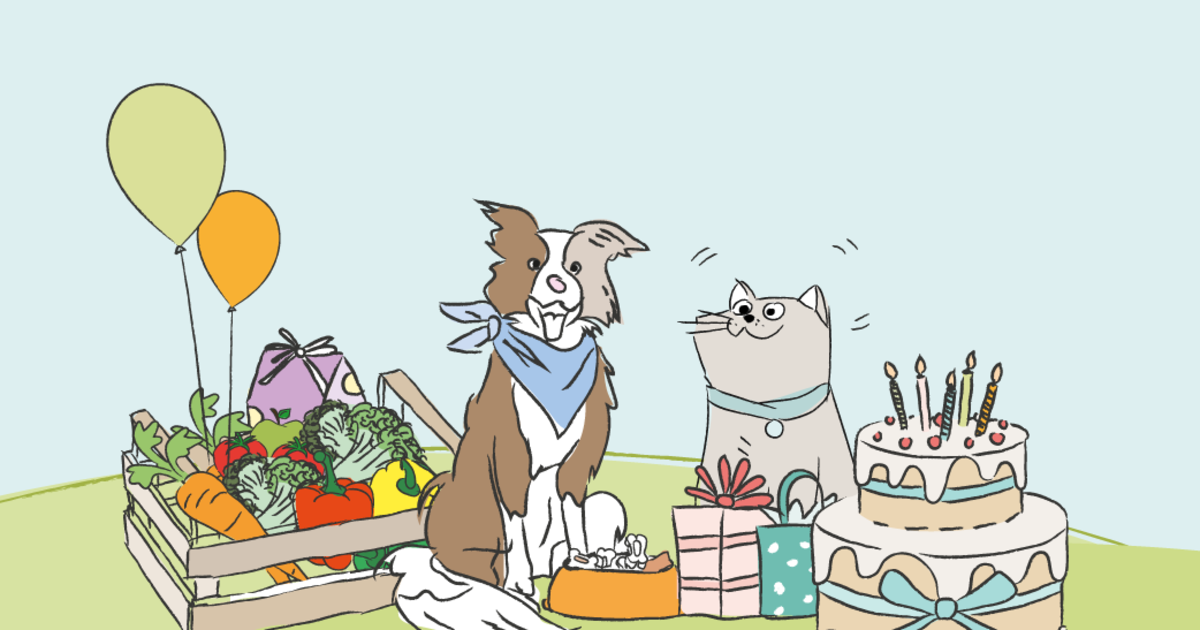 Digitale transformatie bij Food4Pets & Cats & Dogs: schaalbare e-commerce met slimme integraties